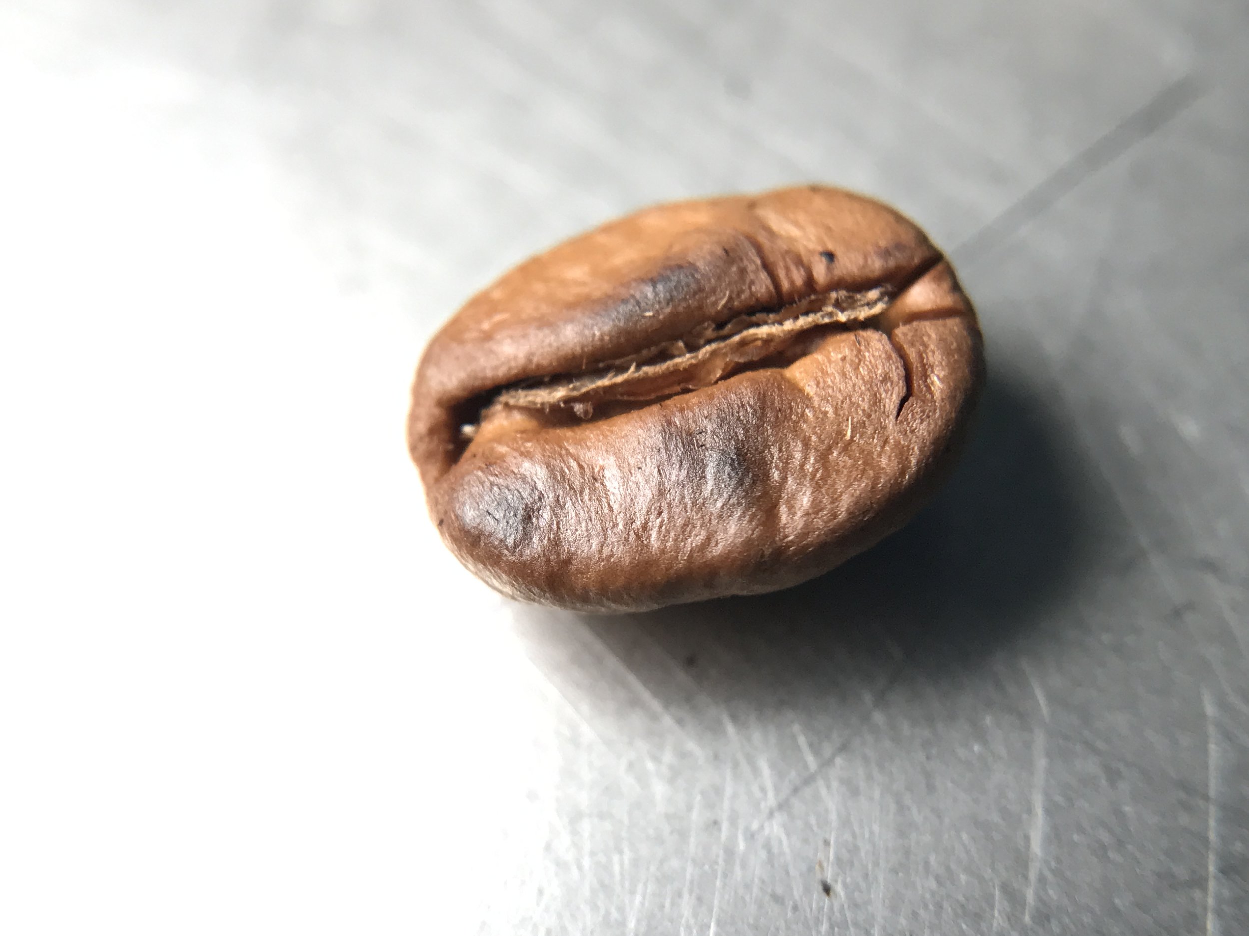 facing defects coffee defects roast defects